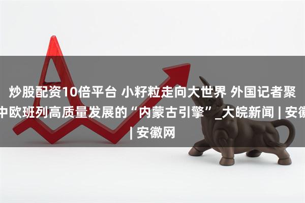 炒股配资10倍平台 小籽粒走向大世界 外国记者聚焦中欧班列高质量发展的“内蒙古引擎”_大皖新闻 | 安徽网