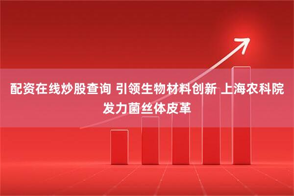 配资在线炒股查询 引领生物材料创新 上海农科院发力菌丝体皮革