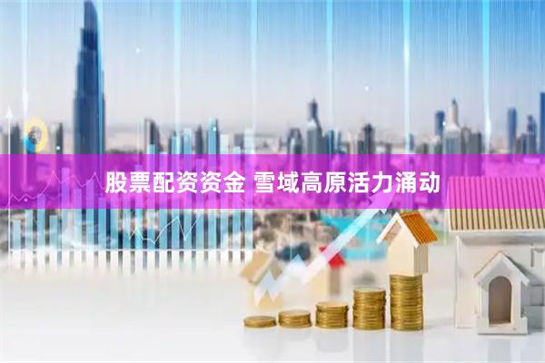 股票配资资金 雪域高原活力涌动