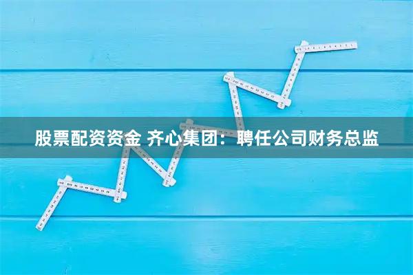股票配资资金 齐心集团：聘任公司财务总监